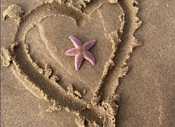The Truth Behind Love: How to Love Yourself and Others 05e539b8-5bb2-b496-ec27-1d11e2a7f3b9