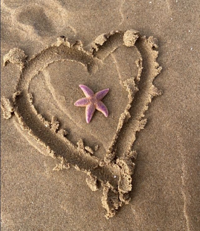 The Truth Behind Love: How to Love Yourself and Others 05e539b8-5bb2-b496-ec27-1d11e2a7f3b9