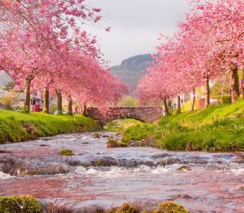 The Self-Love Corner: Unearthing All Parts of Yourself From the Theories of Carl Jung aa3a8684-779e-c0ae-b069-cdeca1c35dac