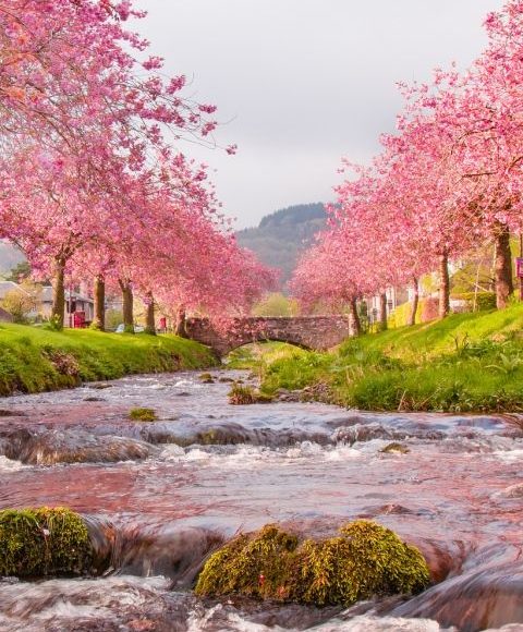 aa3a8684-779e-c0ae-b069-cdeca1c35dac