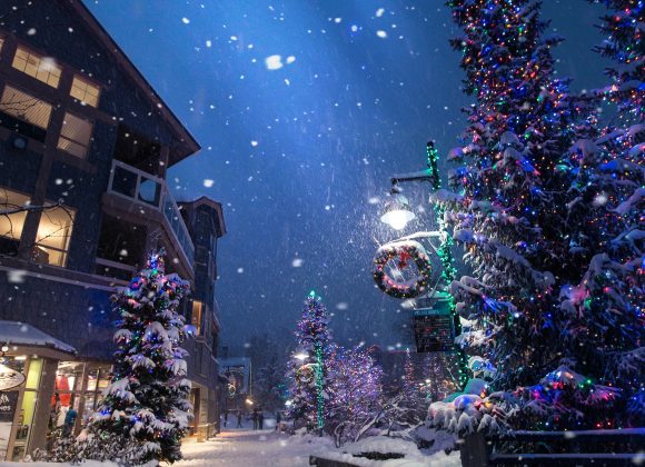 1e32575a-d992-6a83-8d20-c56072260874