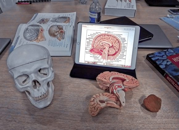 Empowering Mental Health in STEM: A Convo With SereneMind's Sanjita Pat. maria-beatriz tavares figueiredo-dupe