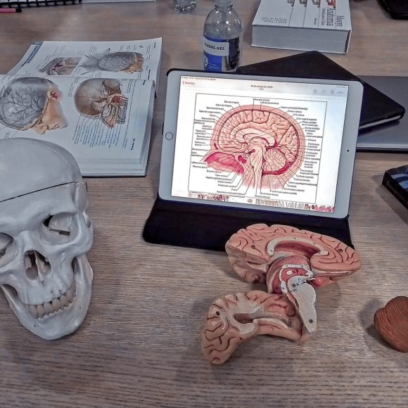 maria-beatriz tavares figueiredo-dupe