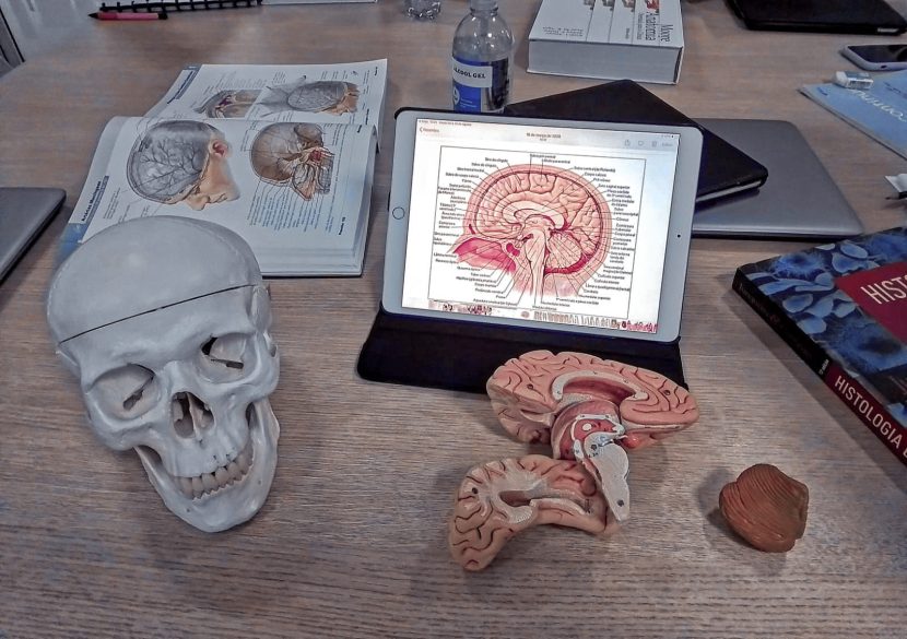 Empowering Mental Health in STEM: A Convo With SereneMind's Sanjita Pat. maria-beatriz tavares figueiredo-dupe