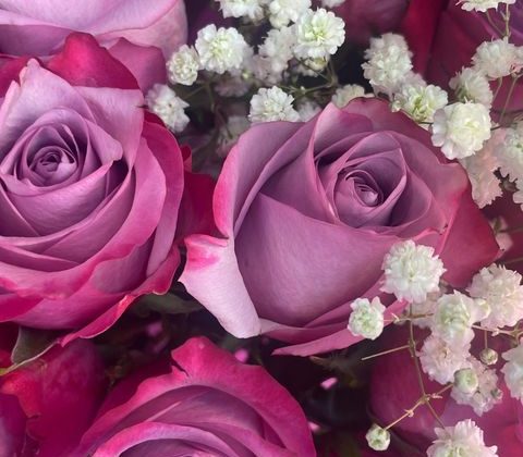 Rediscovering Passion: An Honest Update From Bella 450998199_1138536970580731_5802726857945444288_n