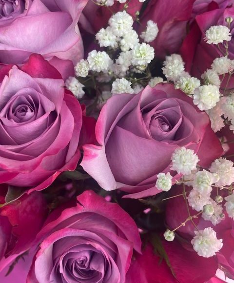 450998199_1138536970580731_5802726857945444288_n