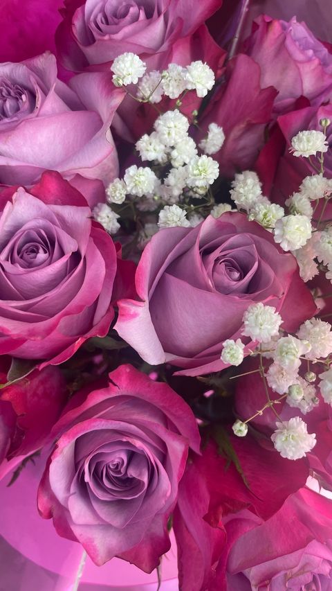 450998199_1138536970580731_5802726857945444288_n